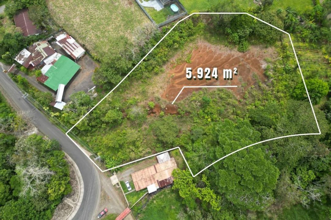 Florencia San Carlos, Alajuela 21002, Costa Rica