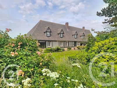 Critot, Haute-Normandie 76680, France