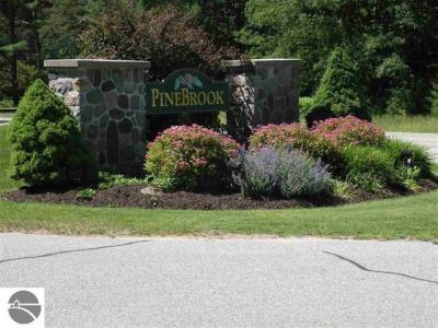 6865 Pinebrook , 9, Bellaire, Michigan 49615, États-Unis