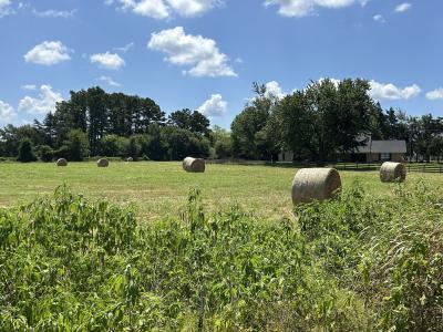753 County Road SW 3110, Mount Vernon, تكساس 75457, الولايات المتحدة