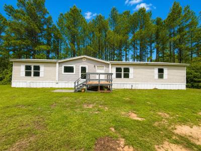 19 Willow Drive, McHenry, Mississippi 39561, USA