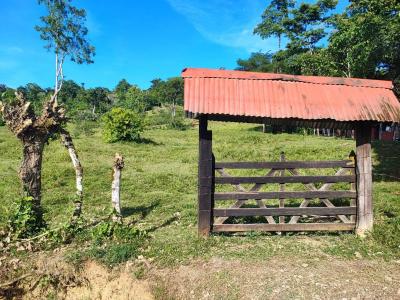 Bratsi Talamanca, Limón 00001, Costa Rica