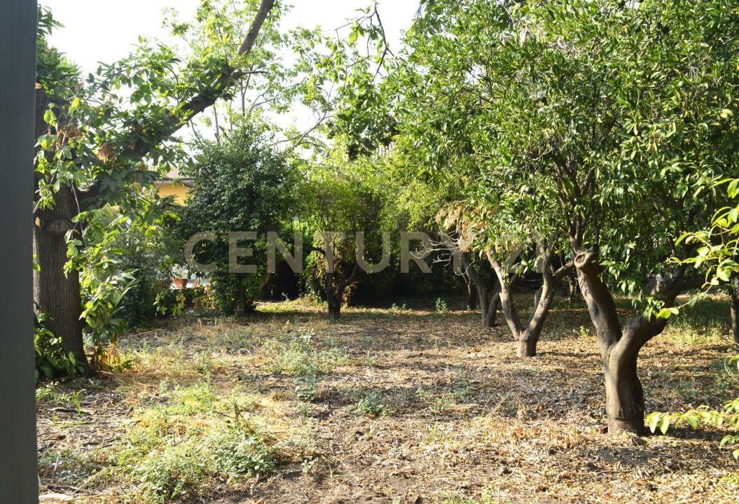 Aci Bonaccorsi, Sicilia 95020, Italie