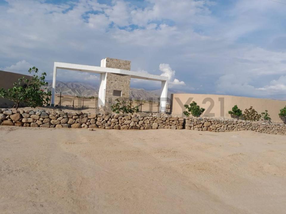 Pampa de Ñoco - Fundo denominado Holujapampa , Chincha, Ica 00001, 秘魯