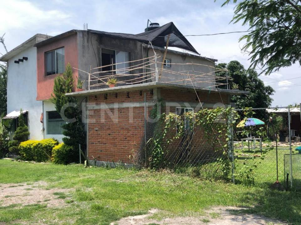Quinta de Los Mangos 12,, Tlayacapan, Morelos 62546, Mexiko
