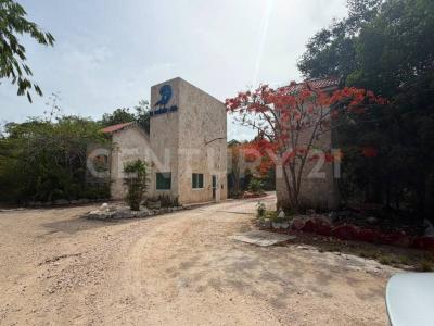 Tulum, Quintana Roo 77774, Mexico