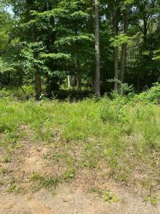 0 S Maugham Drive, Burnside, Kentucky 42519, États-Unis