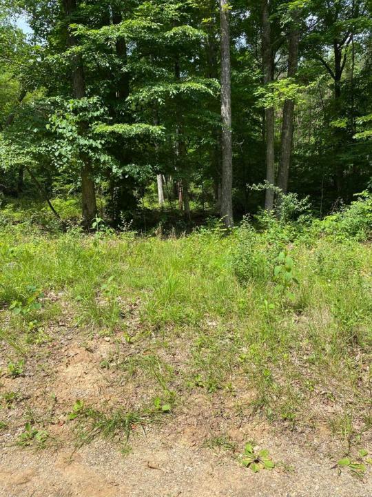 0 S Maugham Drive, Burnside, Kentucky 42519, États-Unis