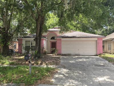 1839 Kettler Dr., Lutz, Florida 33559, Stati Uniti
