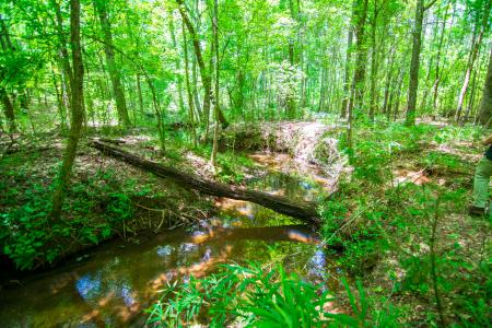 0 White Road, Pine Mountain, Georgia 31822, USA