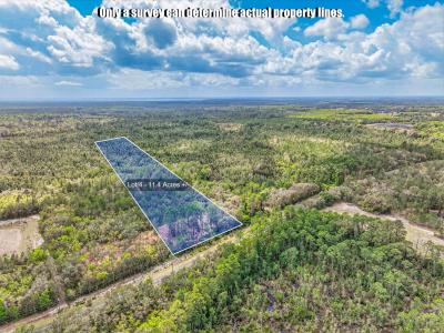 000-4 County Rd 308, Crescent City, Florida 32112, Stati Uniti