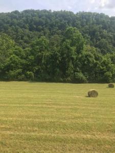 Parcel 011.05 Hatfield Road, Tazewell, Tennessee 37879, USA