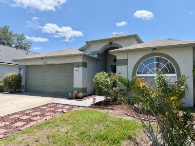 30710 Nickerson Loop, Wesley Chapel, Florida 33543, USA