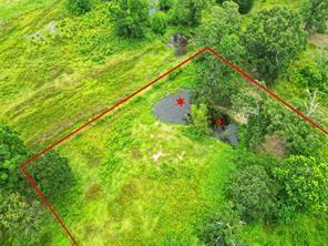254 County Road Cr 312, Cleveland, 텍사스 77327, 미국