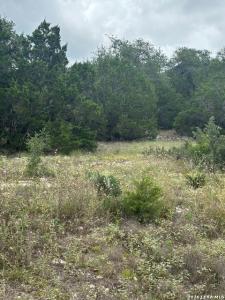 1328 Powder Ridge Rd, New Braunfels, Texas 78132, USA