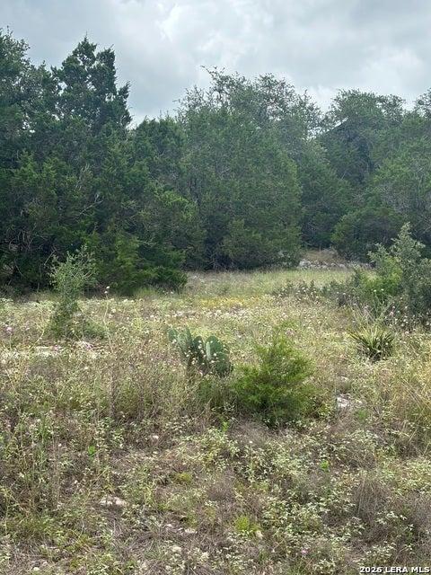 1328 Powder Ridge Rd, New Braunfels, Texas 78132, États-Unis