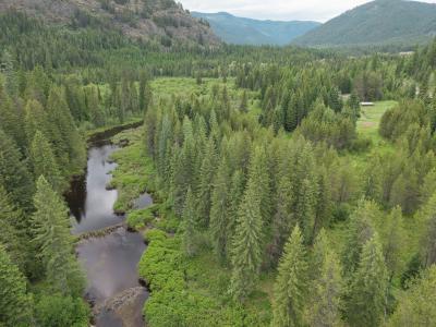 532927 U.S. 95, Bonners Ferry, Idaho 83805, USA