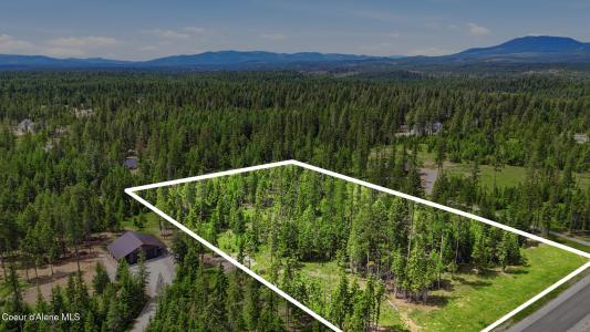 NNA Estate at Farragut Lot 3 Blk 1 , Lt 3 Blk 1, Athol, Idaho 83801, États-Unis