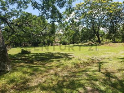 Paraguarí, Paraguarí 00001, Le Paraguay