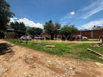 Del Panteón Jardín S/N,, San Andrés Huayapam, Oaxaca 68287, Mexique