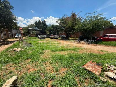 Del Panteón Jardín S/N,, San Andrés Huayapam, Oaxaca 68287, Mexique