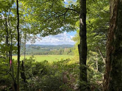 Danville Hill Road, Cabot, Vermont 05647, USA