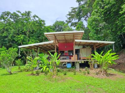 Cahuita , Cahuita Talamanca, Limón 00001, Costa Rica