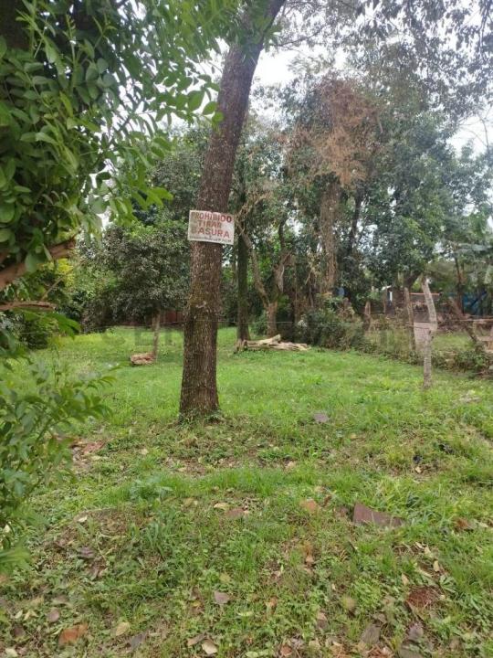 san isidro , Encarnación, Itapúa 00001, Le Paraguay