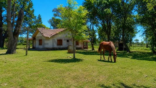 Ruta Provincial 73 KM 5,5, Dolores, Buenos Aires (fuera De GBA) 1700, Аргентина