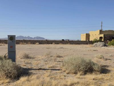 30402 E PALO VERDE, Wellton, Arizona 85356, États-Unis