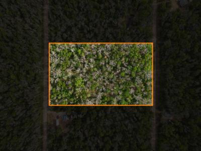 V/L Dorsey Drive 5 Acres, Baldwin, Michigan 49304, USA