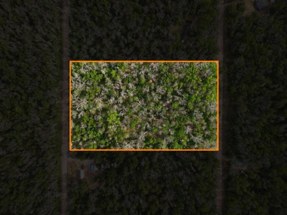 V/L Dorsey Drive 5 Acres, Baldwin, Michigan 49304, Stati Uniti