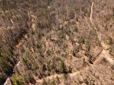 15.86 AC On Mill Creek Ln., Land O Lakes, Michigan 54540, USA