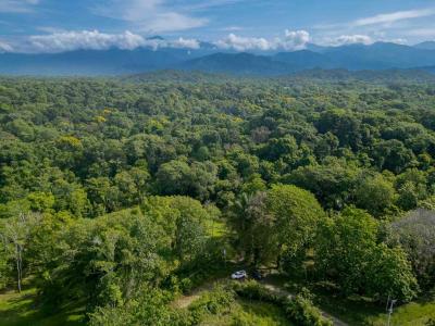 Manuel Antonio Quepos Quepos, Пунтаренас 00001, Коста-Рика