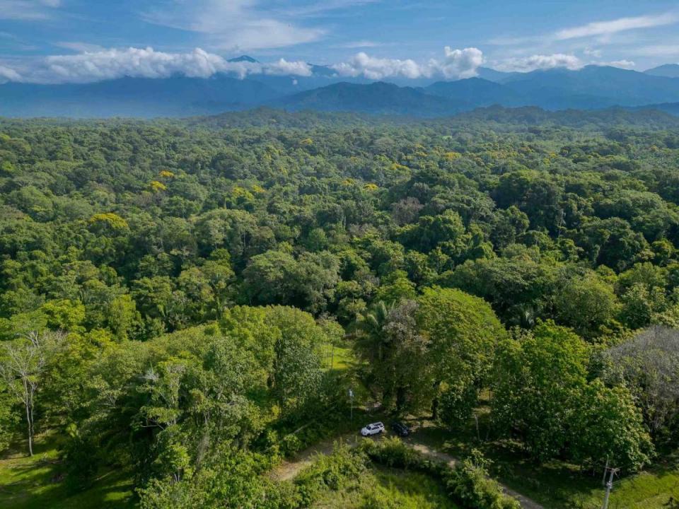 Manuel Antonio Quepos Quepos, Пунтаренас 00001, Коста-Рика
