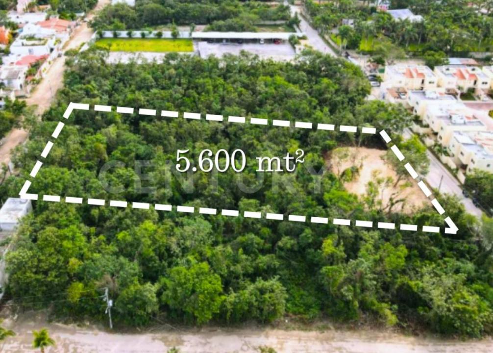 Cancún/Benito Juárez, Quintana Roo 77500, México