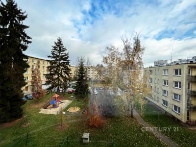 Padělky III, Zlín, Zlín 100 00, Чешская Республика