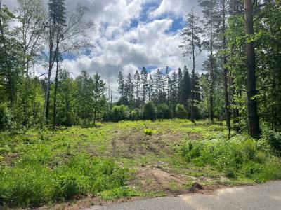 Lot 9 Blk 1 Isleview Rd, Grand Rapids, Minnesota 55744, Estados Unidos