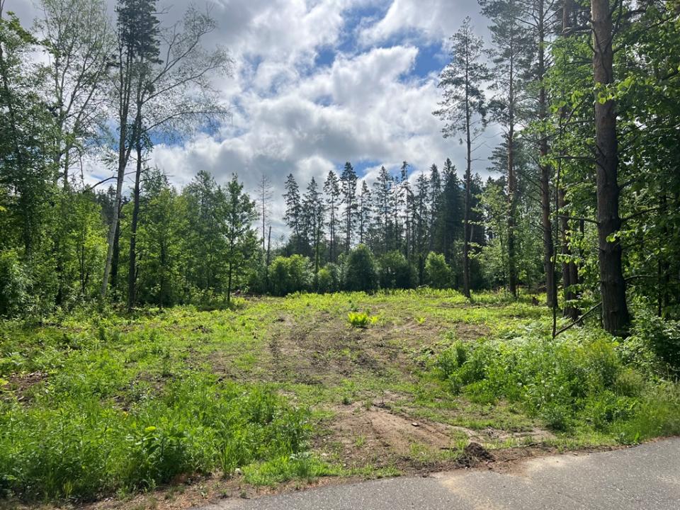 Lot 9 Blk 1 Isleview Rd, Grand Rapids, Minnesota 55744, Estados Unidos