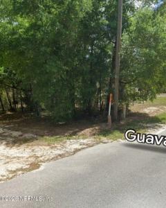 202 Guava Ave, Pomona Park, Floride 32181, États-Unis