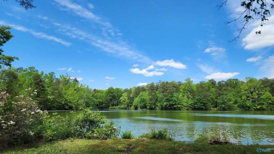 390 Moon Lake Road, Mentone, Alabama 35984, USA
