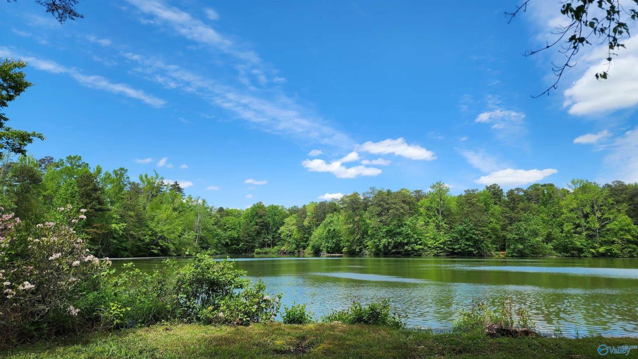 390 Moon Lake Road, Mentone, 앨라바마 35984, 미국