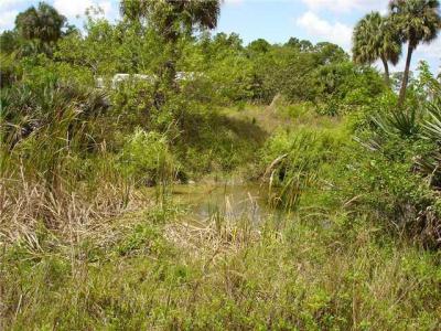 15780 N 99th St Street N #15780, The Acreage, Florida 33412, USA