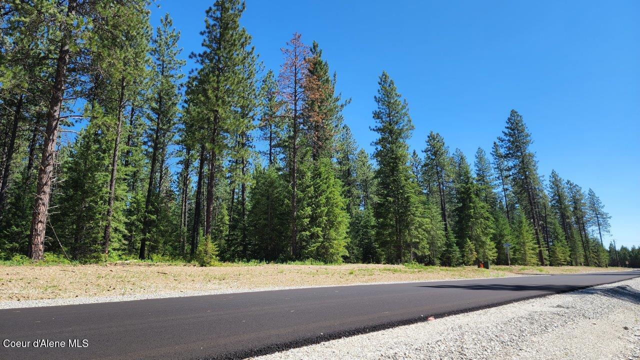 NNA Lot 4 TJ Trail, Athol, Idaho 83801, États-Unis