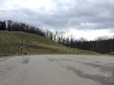 Lots 4&5 Parkedge Road, Pittsburgh, פנסילבניה 15220, ארצות הברית של אמריקה 