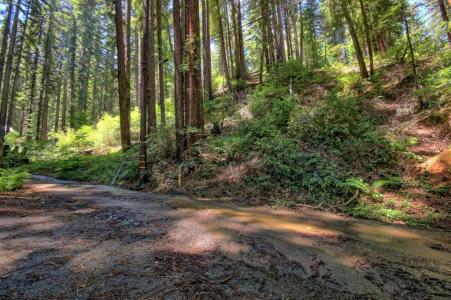 154 Leafwood Drive, Boulder Creek, California 95006, USA