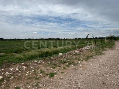 Lote ,, San Luis Potosí, San Luis Potosí 78423, Mexico