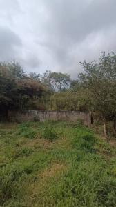 calle buenos aires 5, Guásimos, Táchira 00001, Venezuela