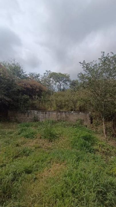calle buenos aires 5, Guásimos, Táchira 00001, Venezuela