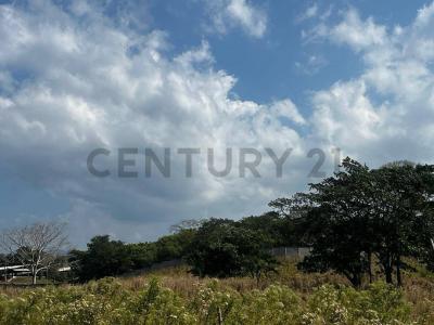 Urbana Bejuma, Carabobo 2040, ベネズエラ